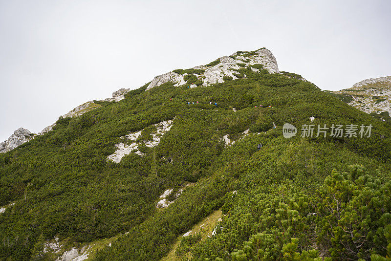 图为一大群徒步旅行者向斯洛维尼亚的Veliki Draski Vrh山顶攀登